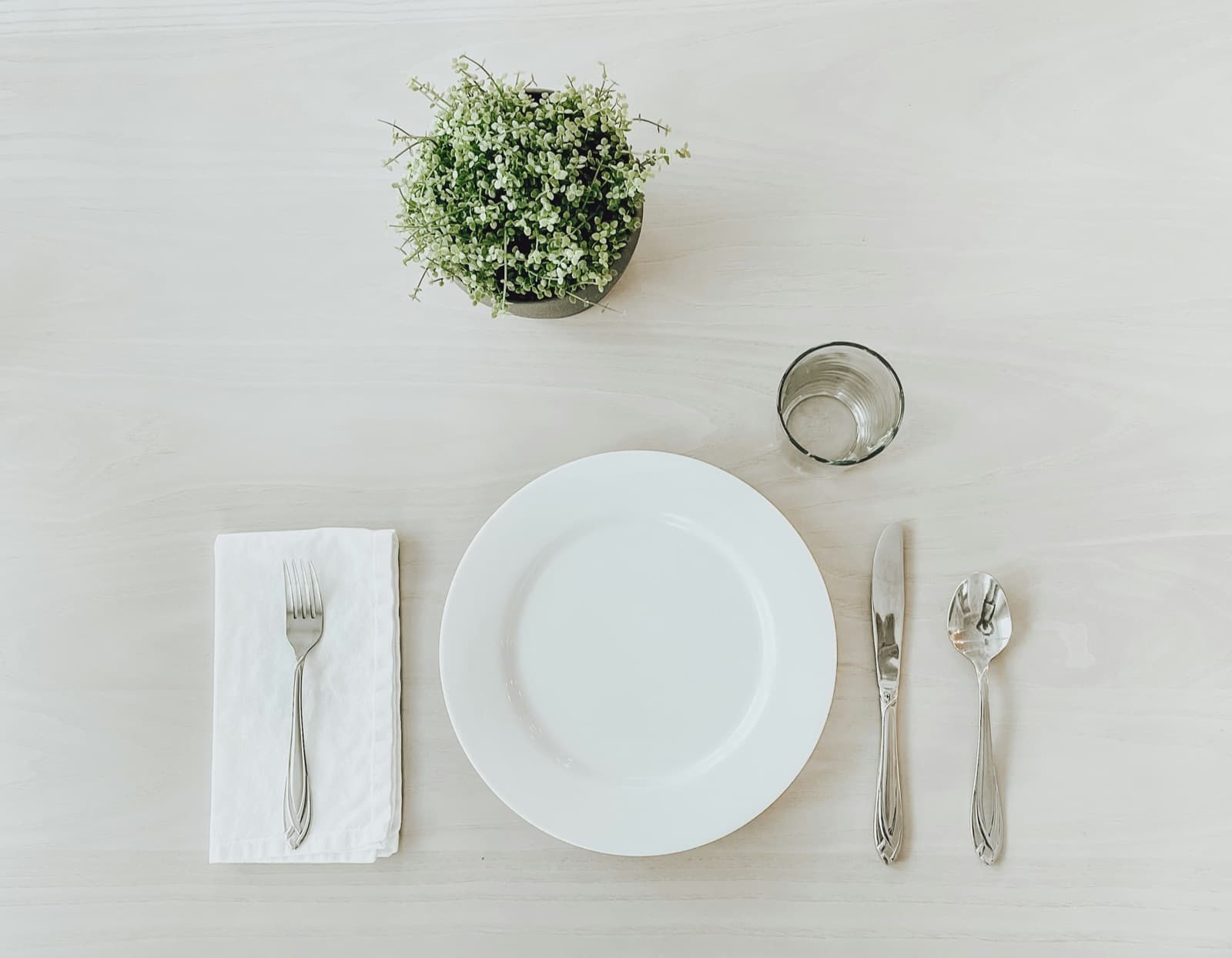 An empty place setting with a white plate, silverware, and a small green plant